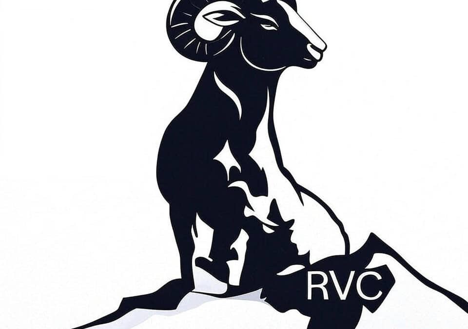 Rocky View Construction